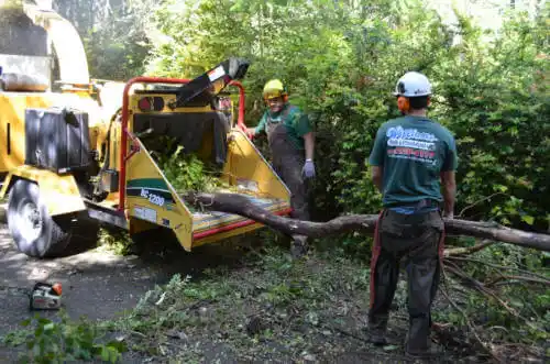 tree services Logan